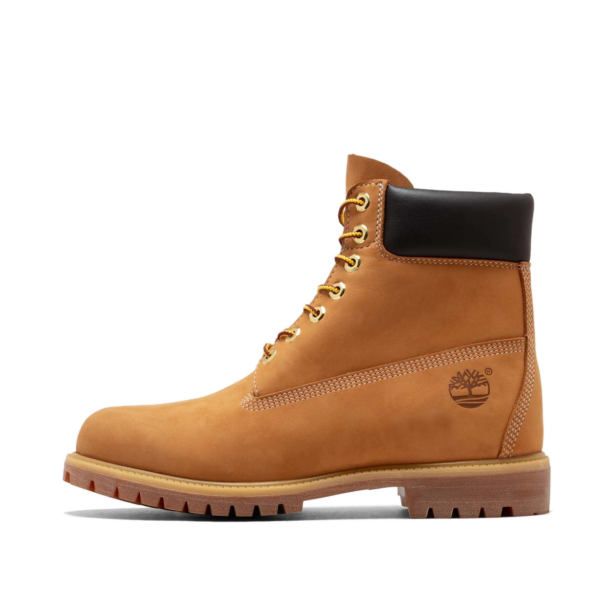 Timberland Premium 6 Inch Lace Up Waterproof "Beige" | TB1100617131
