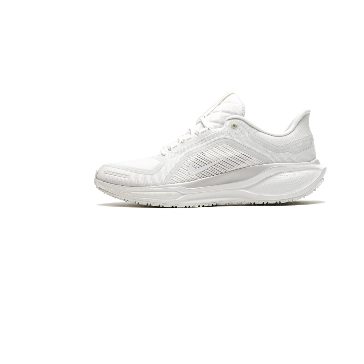 nike-pegasus-41-gore-tex-blanc-fq1356-101