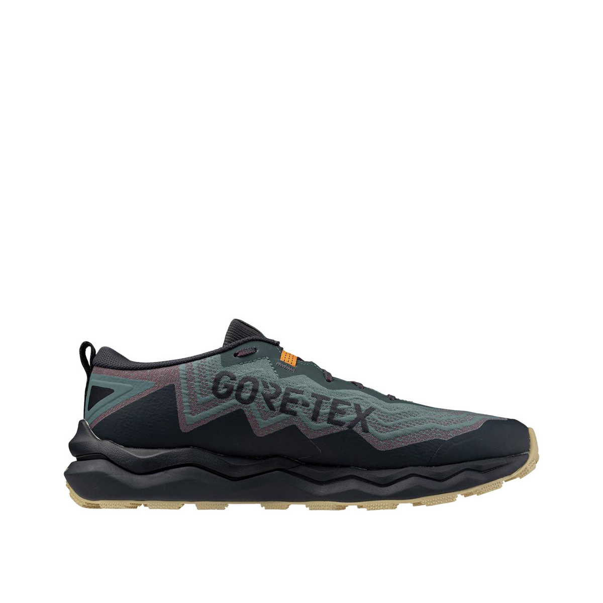 Mizuno Wave Daichi 9 GTX "Blue" | J1GJ255611