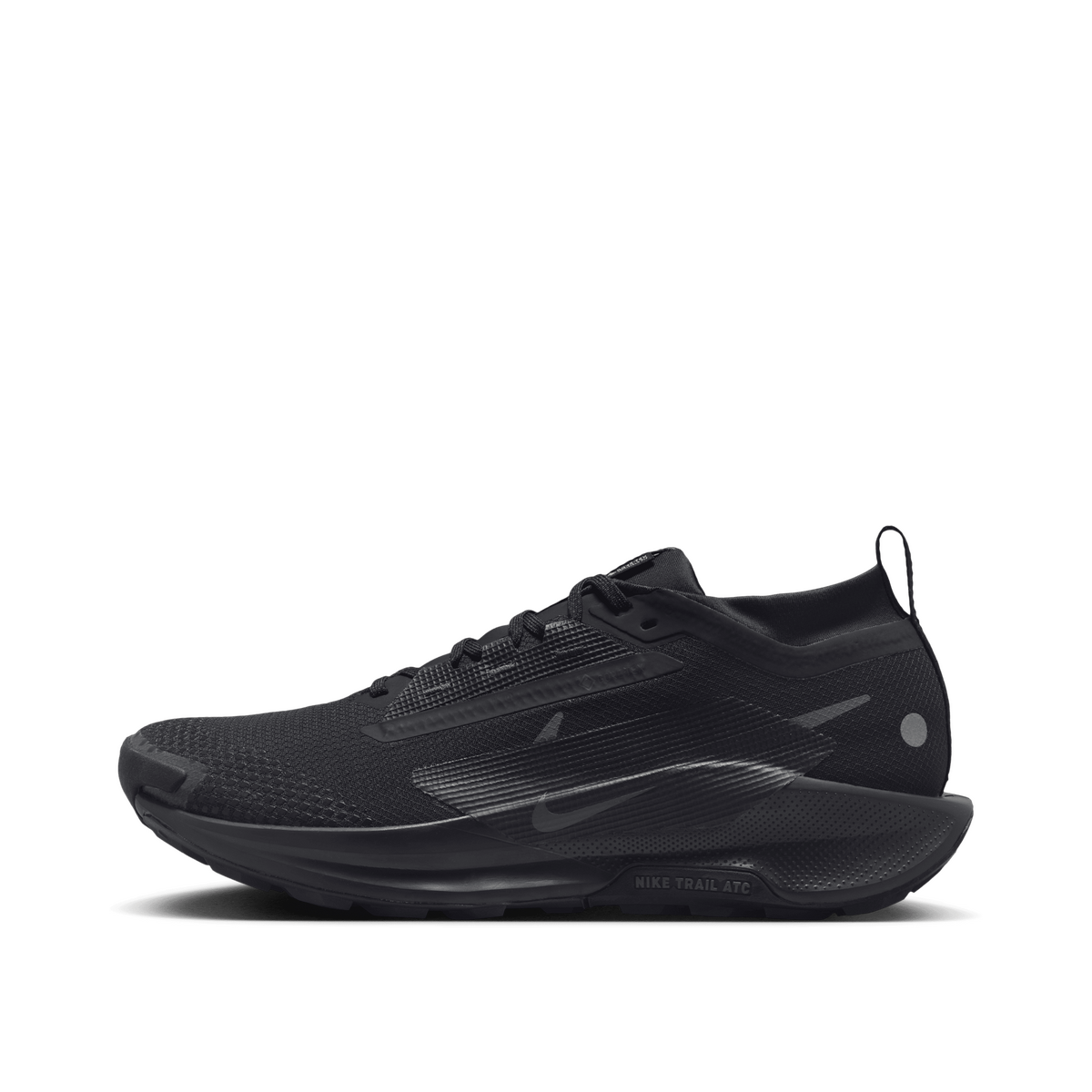 Nike Pegasus Trail 5 GORE-TEX "Black" | FQ0908-002