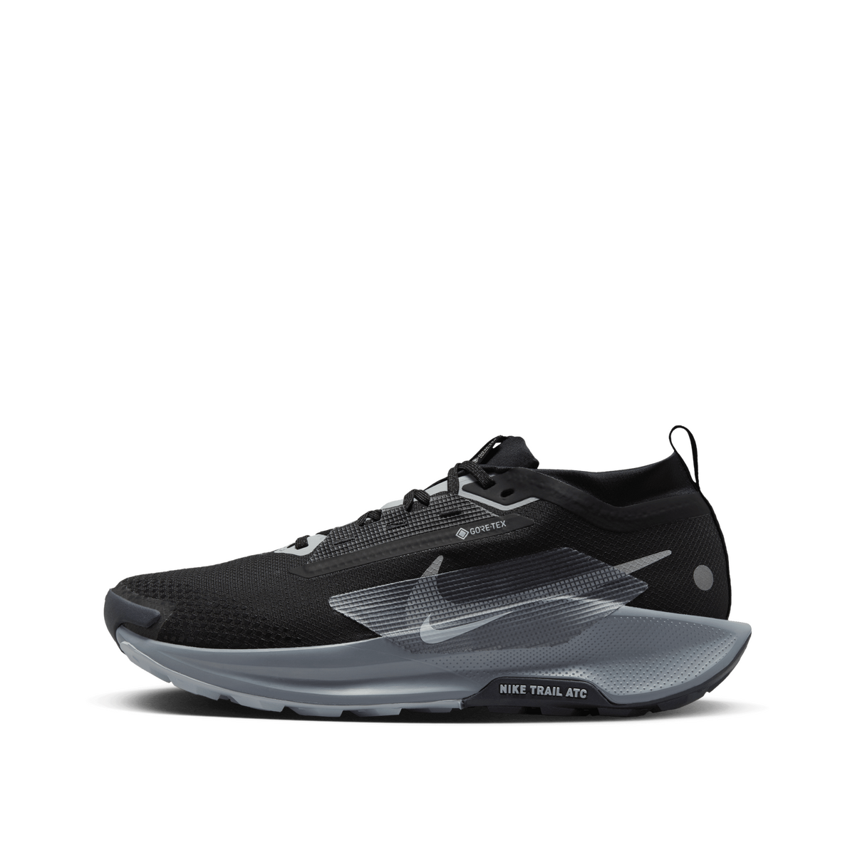 Nike Pegasus Trail 5 GORE-TEX "Black" | FQ0908-001