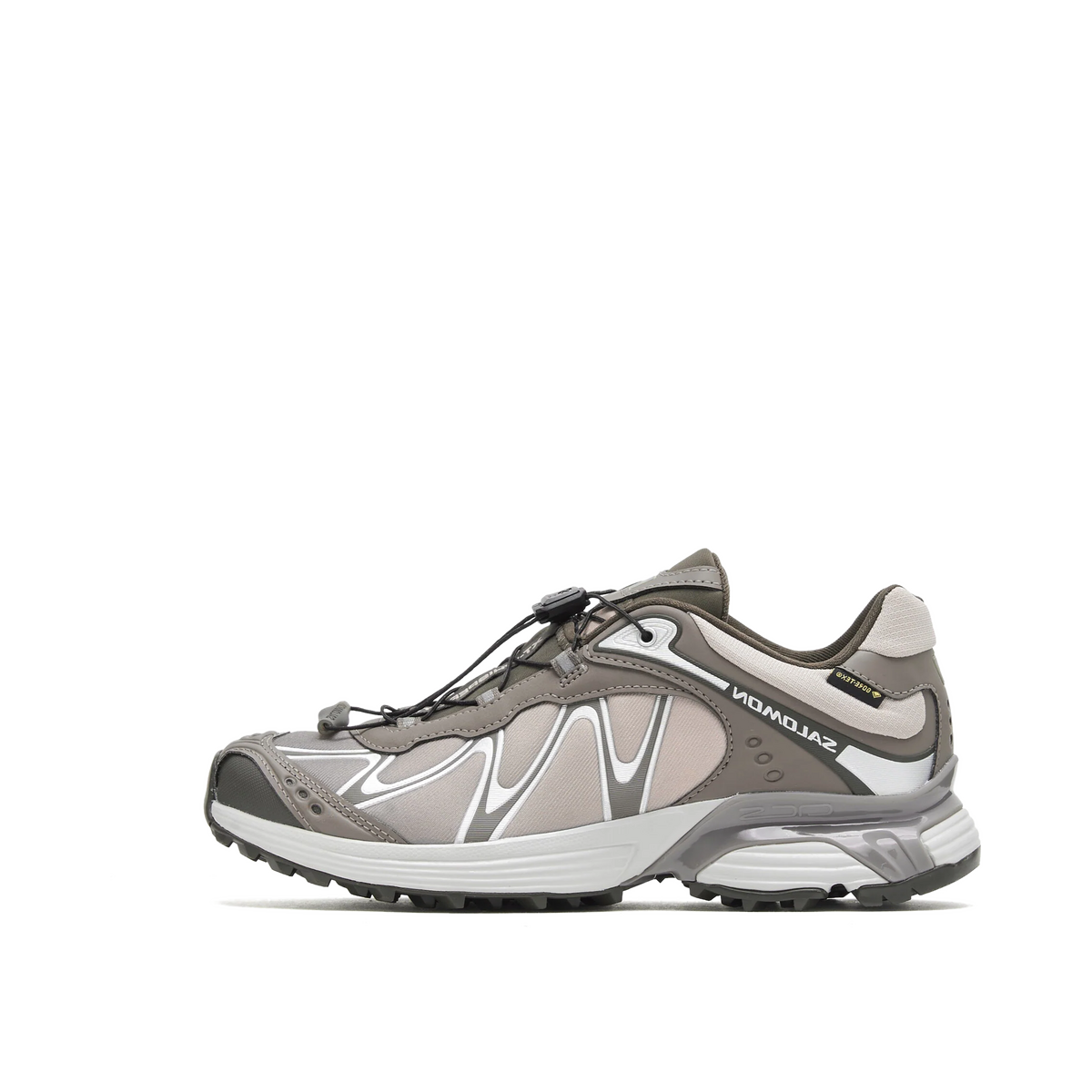 Salomon XT-Whisper GTX "Iron/ Shadow/ Blkolv" | L45397400