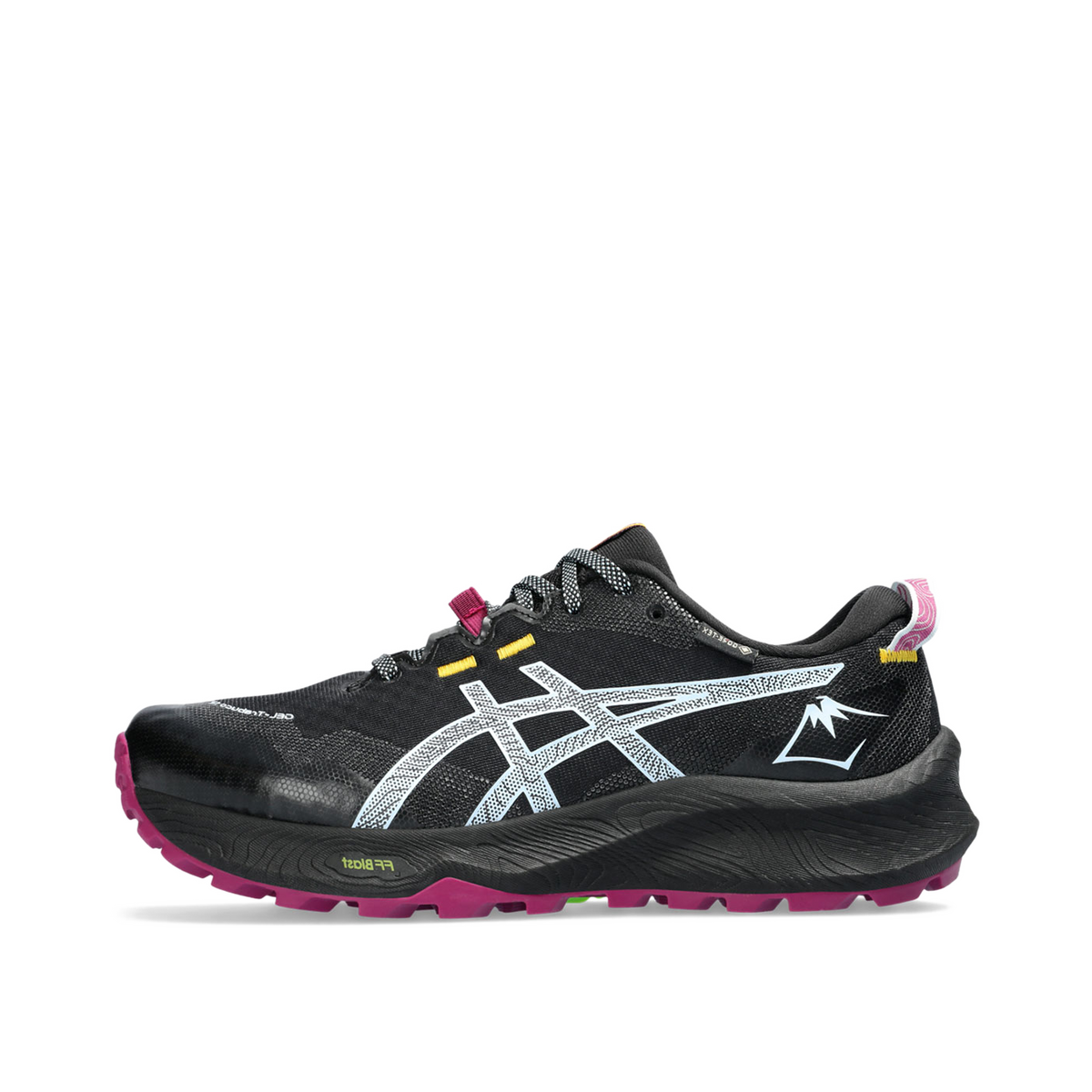 ASICS GEL-Trabuco 12 GTX "Black" | 1012B607-001