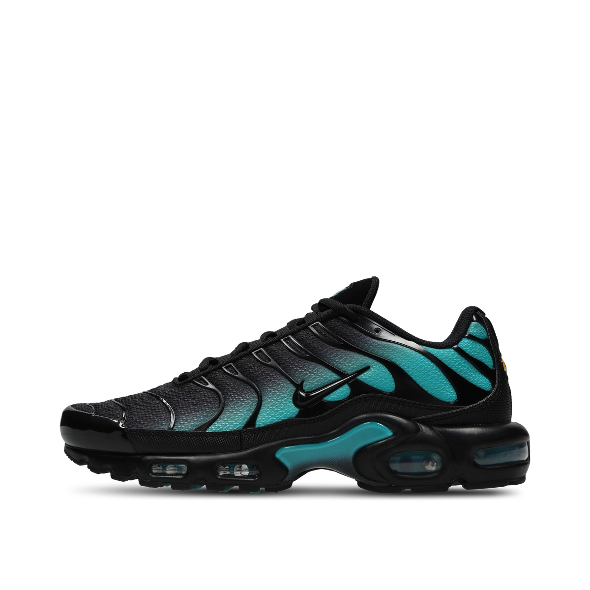 nike-air-max-plus-black-dusty-cactus-dm0032-016