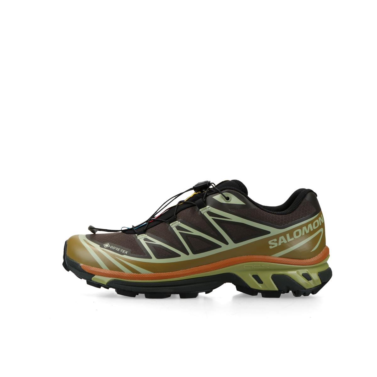 Salomon XT-6 GTX "Delicioso/ Tea/ Plantation" | L49202100